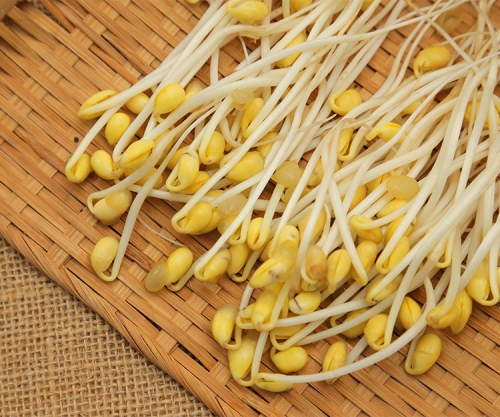 豆制品代理分析現(xiàn)磨豆?jié){的優(yōu)勢(shì)與注意事項(xiàng)